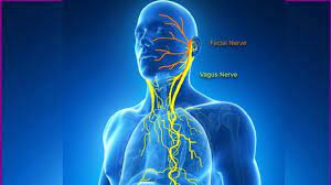 Vagus Nerve Stimulation to Improve Well-Being The more you increase your vagal tone, the more your physical and mental health will improve, and vice versa. There are some very simple ways to increase your vagal tone!