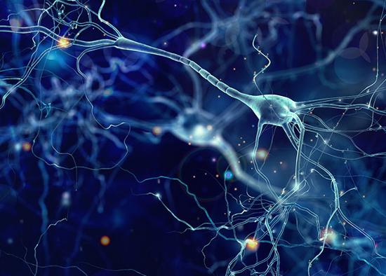 Neural pathways in brain 